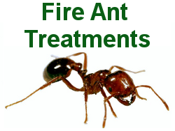 Fire Ant Programs