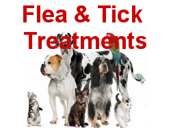 Flea & Tick Programs