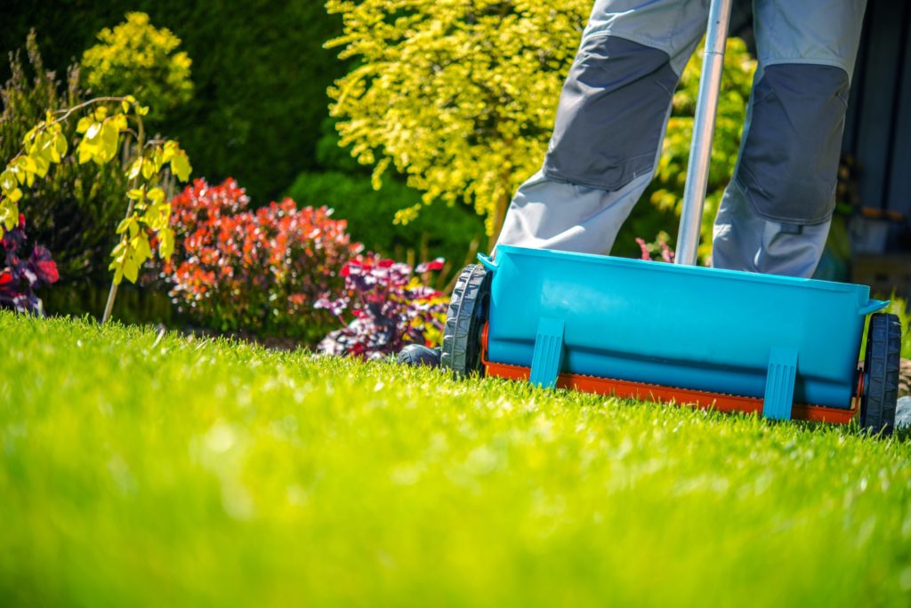 An Introduction To Lawn Fertilization