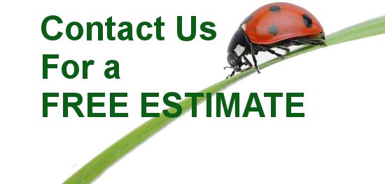 Contact Us for a FREE Estimate