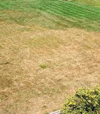 Lawn maintenance tips during a North Texas drought