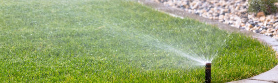 7 Benefits of Using Lawn Fertilizer