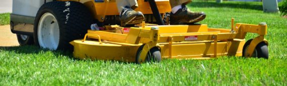 5 Benefits of Hiring a Turf Care Services Company