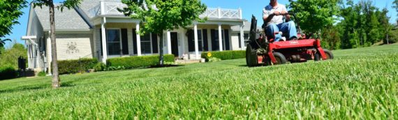 Top 5 Lawn Care Mistakes to Avoid