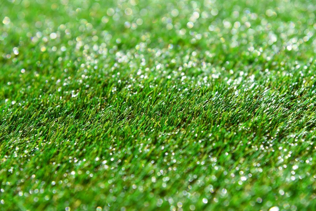 How to Choose the Right Type of Lawn Grass for Your Needs