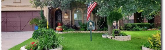 When Is the Best Time to Start Lawn Care Services in Dallas, TX?